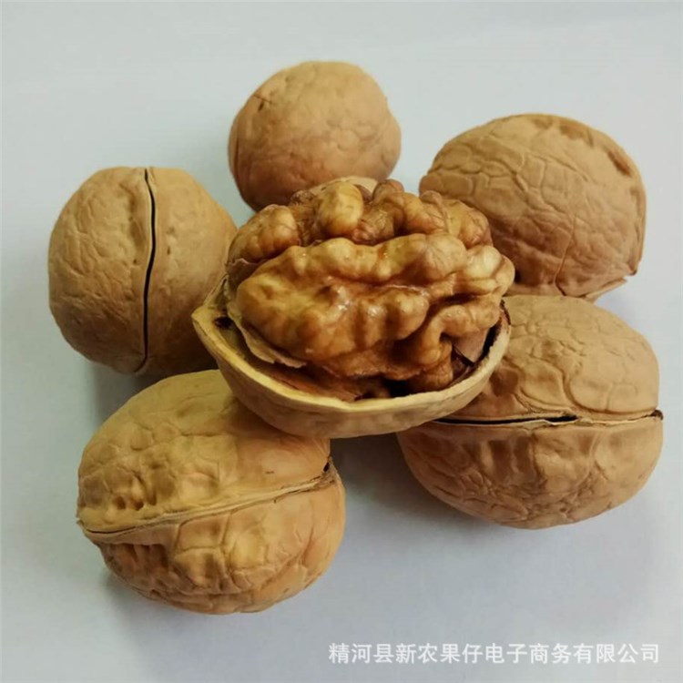 新農(nóng)果仔產(chǎn)地整箱新疆堅(jiān)果阿克蘇溫185紙皮核桃500克非薄皮核桃