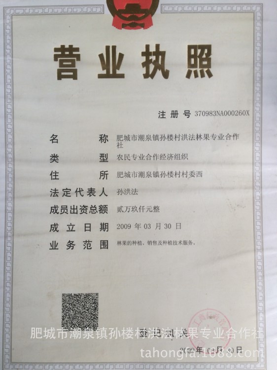 泰山薄皮核桃銷(xiāo)售，原產(chǎn)地批發(fā)地，價(jià)格實(shí)惠