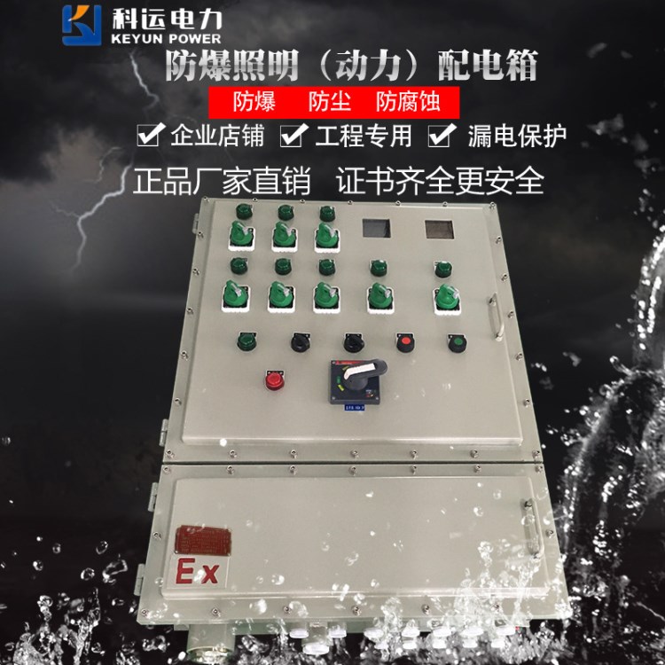 BXMD-9/K防爆照明（動(dòng)力）配電箱廠家定做 立式防爆配電柜壁掛式