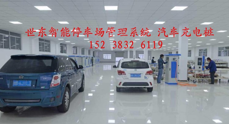 智能停車(chē)場(chǎng)收費(fèi)管理系統(tǒng)汽車(chē)充電樁 通道閘電動(dòng)門(mén)禁自動(dòng)道閘 世東