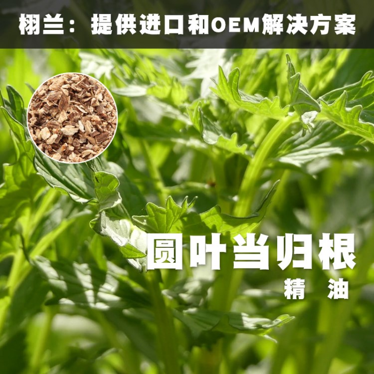 栩蘭 圓葉當(dāng)歸根 Levisticum officinale 單方 根部精油 法國