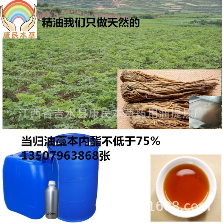 廠家直銷天然植物提煉加工國產(chǎn)當歸油75%植物萃取精華油植物精油