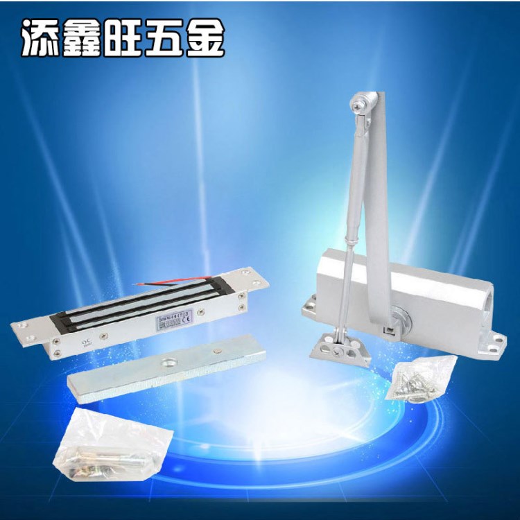 單門磁力鎖 埋入式磁力鎖 防水磁力鎖 低溫電插鎖 雙門磁力鎖