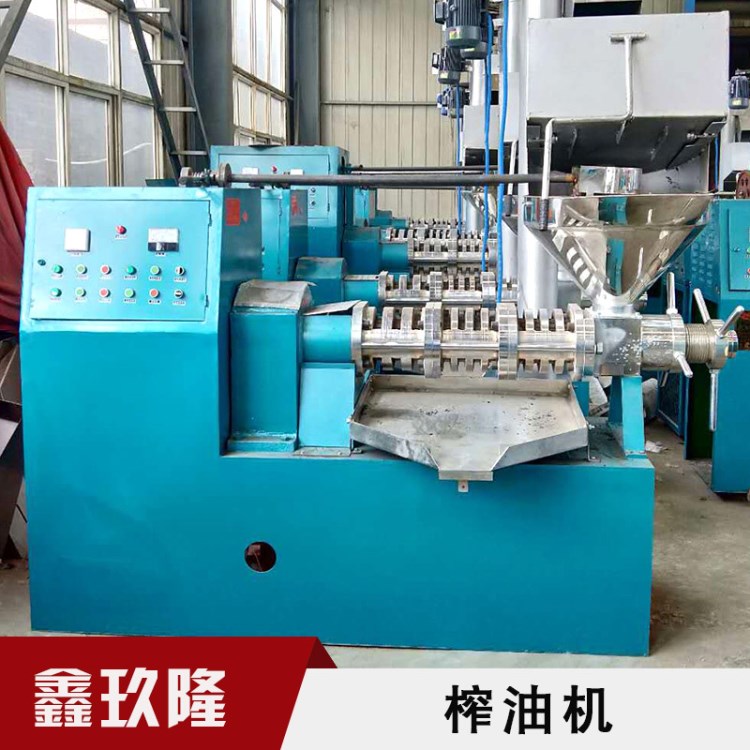 廠家直銷 不銹鋼花生油榨油機 多功能大型商用榨油機 菜籽榨油機