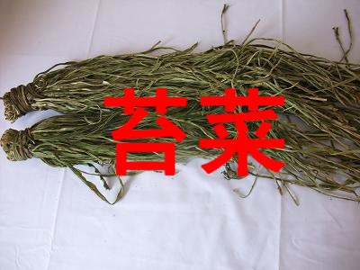 批發(fā) 苔菜 貢菜 海藻類植物  脆脆的 很好吃 火鍋料 涼拌均可