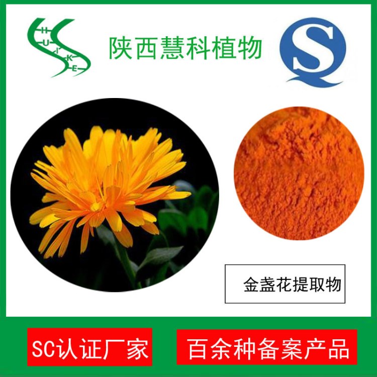 金盞花提取物10:1 金盞花粉 SC廠家 二十年提取