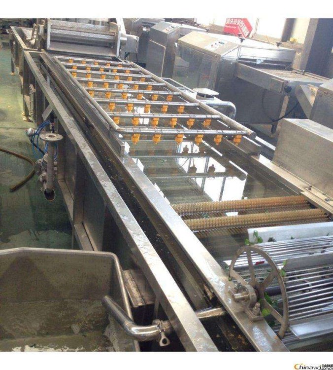 高壓清洗機 多功能葉類蔬菜清洗機 氣泡清洗機廠家
