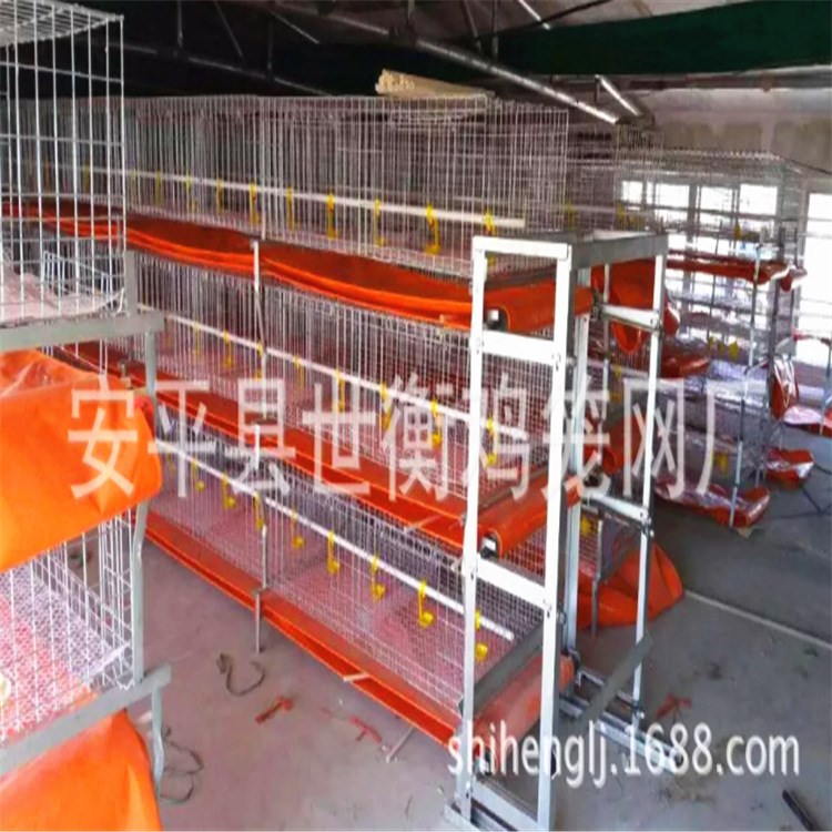 肉雞籠輸送帶 整套設備 熱鍍鋅 冷鍍鋅全套