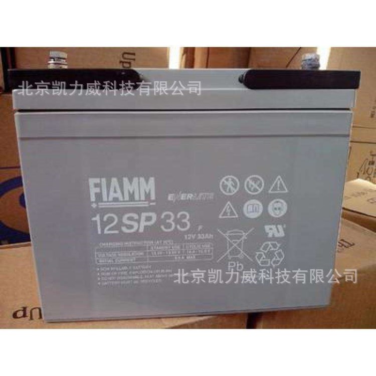 武漢非凡蓄電池2GM2005非凡鉛酸蓄電池12V60AH廠家直銷
