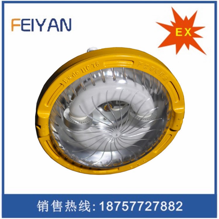 BFC8182長(zhǎng)壽低耗防爆燈/免維護(hù)長(zhǎng)壽低頂燈/80W無(wú)極燈/防爆低頂燈