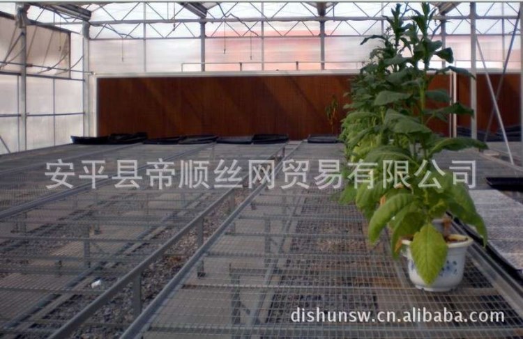 苗床網 花架網 熱鍍鋅網片 溫室苗床網 植網床 養花專用網