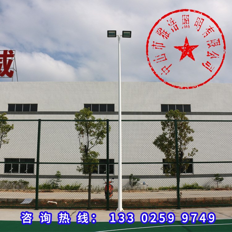 廣州市籃球場(chǎng)燈桿 戶外足球場(chǎng)照明燈桿批發(fā) 球場(chǎng)照明LED燈光