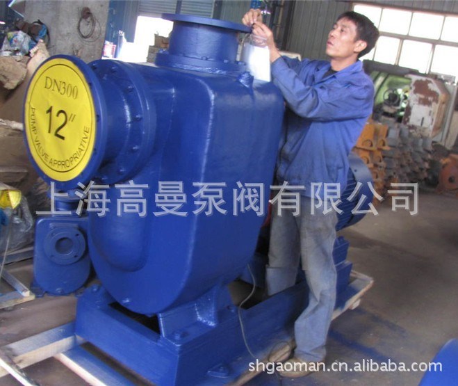 125XZW120-20型無堵塞自吸式渦流排污泵 自吸雜質泵 自吸式污水泵