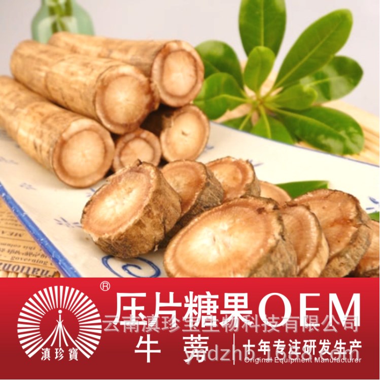 牛蒡養(yǎng)生茶代加工貼牌廠家 清火秋季牛蒡代用茶 牛蒡