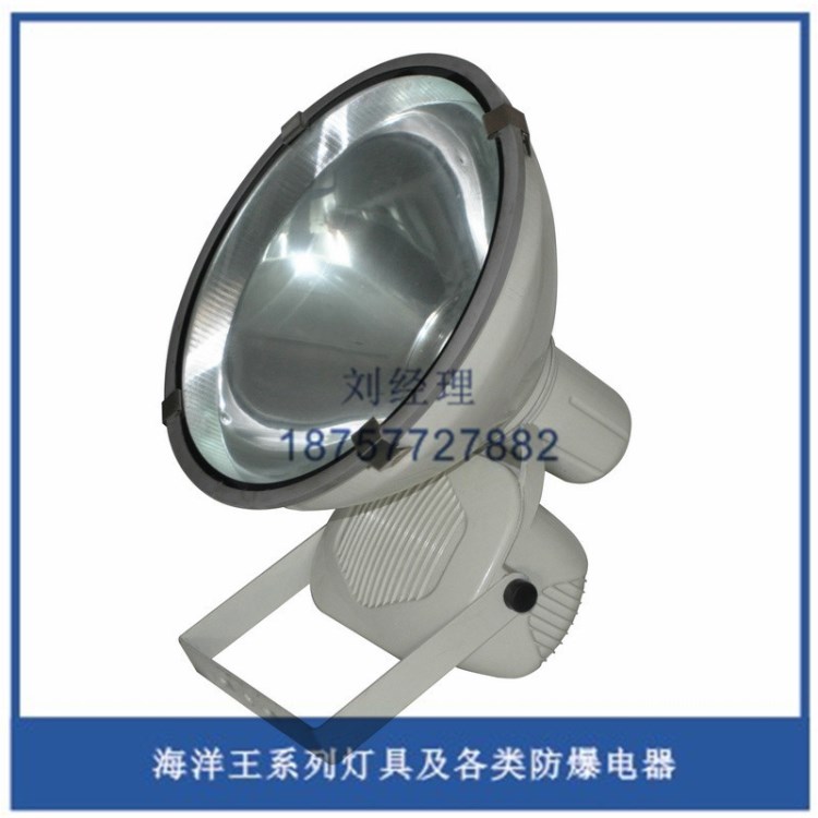 海洋ZT6900B防水防塵防震投光燈 戶外投光燈 廣場燈 三防燈具