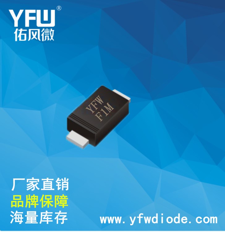 佑風微 FR101W印字F1A/F1快恢復二極管SOD123FL封裝 3K每盤