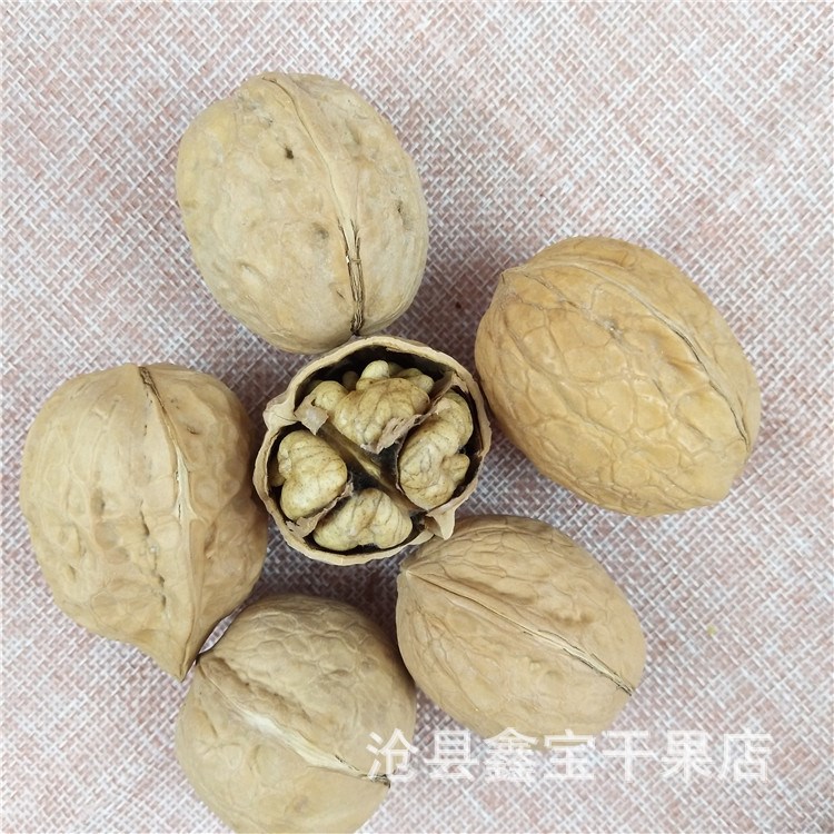 直銷核桃批發(fā)新疆特產(chǎn)阿克蘇紙皮核桃500g 散裝干果產(chǎn)地