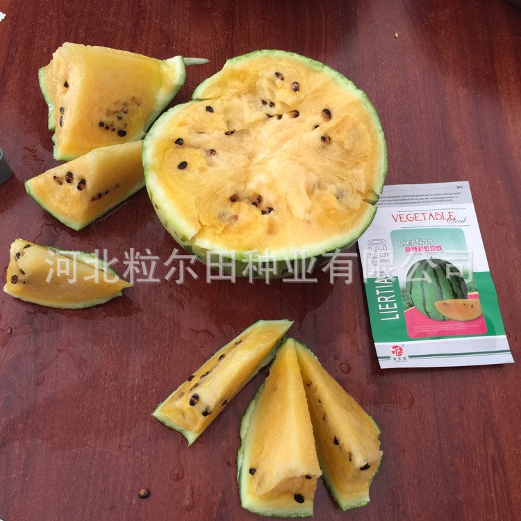 高端特色禮品京欣西瓜種子品種 粒尓田高糖彩虹京欣西瓜種子包郵