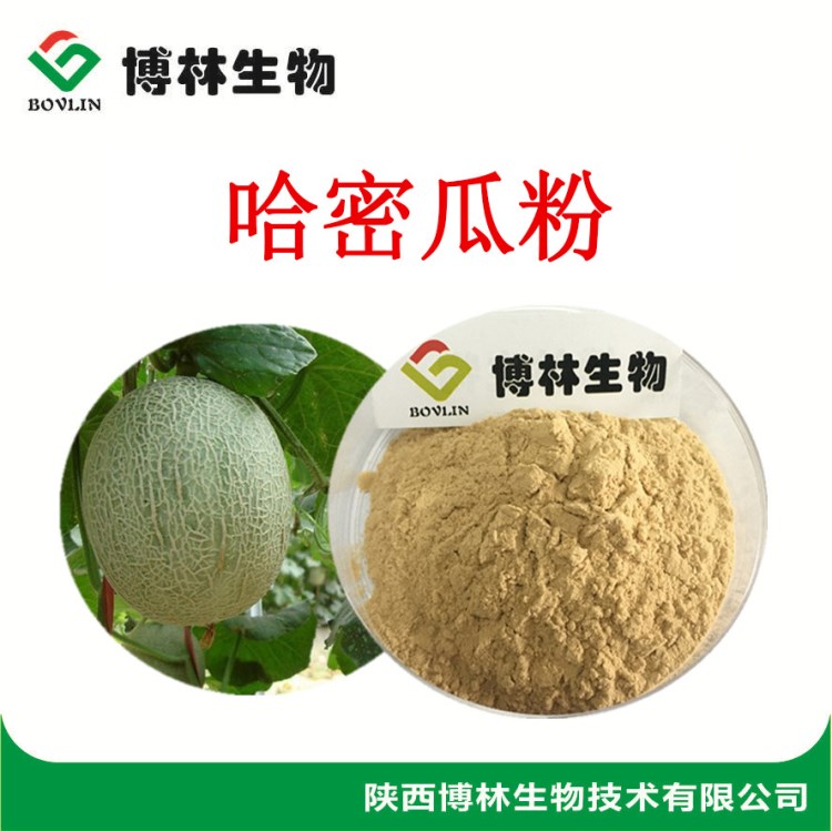 哈密瓜果粉99% 速溶果蔬粉 果汁奶茶原料粉 質(zhì)量 現(xiàn)貨包郵