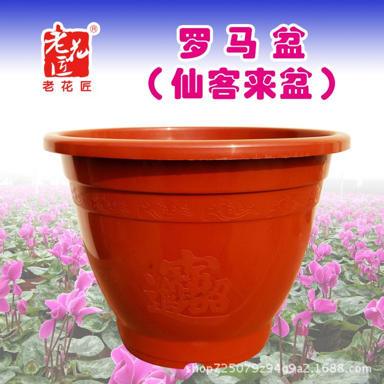 圓形基地盆仙客來海棠盆羅馬盆塑料花盆紅色花盆吊籃盆A形花盆