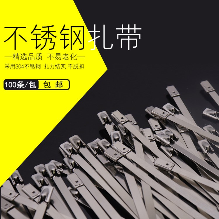 304不銹鋼扎帶4.6X450MM船用金屬自鎖重復使用扎帶噴塑不銹鋼扎帶