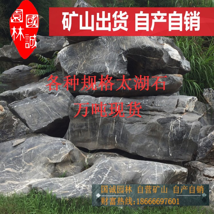 供應(yīng)廣東太湖石 蘇州嶺南園林景觀石 英德石太湖石工程假山