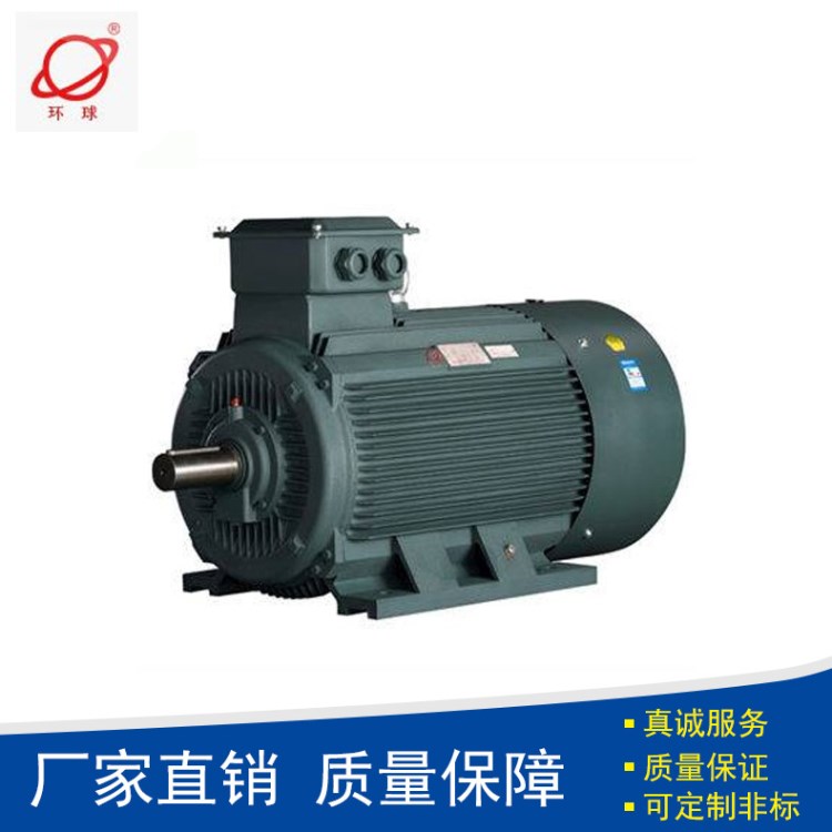 東莞環(huán)球電機(jī)YE2系列率三相異步電機(jī) 節(jié)能三相異步電機(jī)