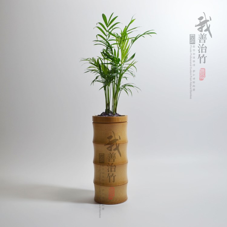 廠家直供天然竹子花瓶竹制花缽 創意竹花插 家居竹擺飾  竹花器