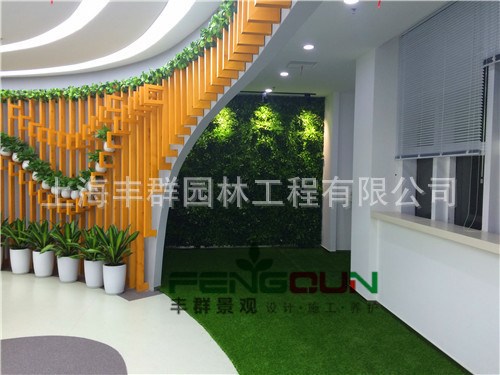 提供植物租擺 植物租賃 公司綠植 辦公室綠化 植物養(yǎng)護(hù)服務(wù)