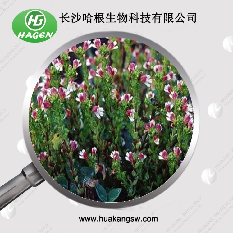 植提廠供應 小米草提取物（具備商檢資質）