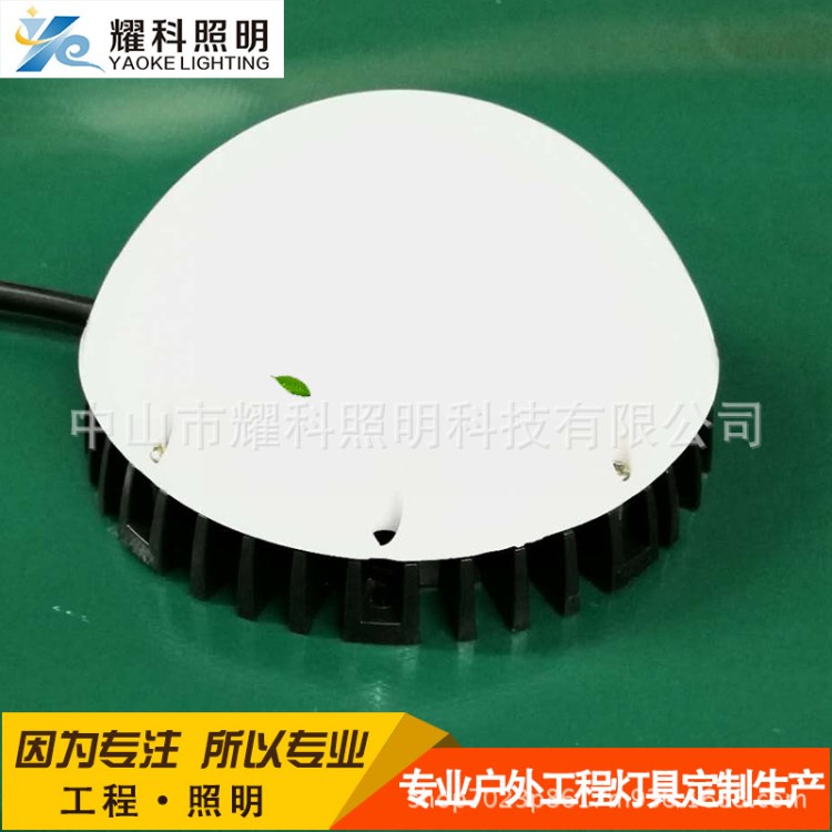 廠家批發(fā)戶外亮化工程裝飾防水 LED點光源 像素燈七彩內(nèi)控點光源