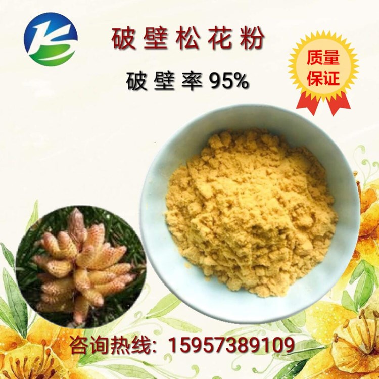 現貨供應破壁松花粉 QS破壁松花粉末  植物萃  固體飲料