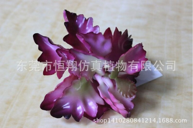 北京多肉綠植長壽葉 仿真花 創(chuàng)意擺件 婚慶用品 批發(fā)