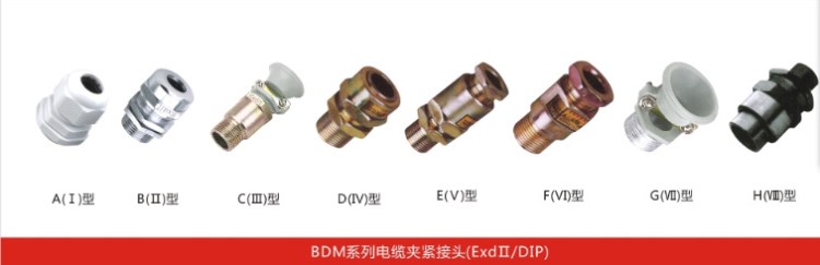 防爆電纜夾緊接頭/BDM系列電纜接頭