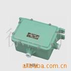 供應(yīng)防爆125W整流器箱整流器外殼