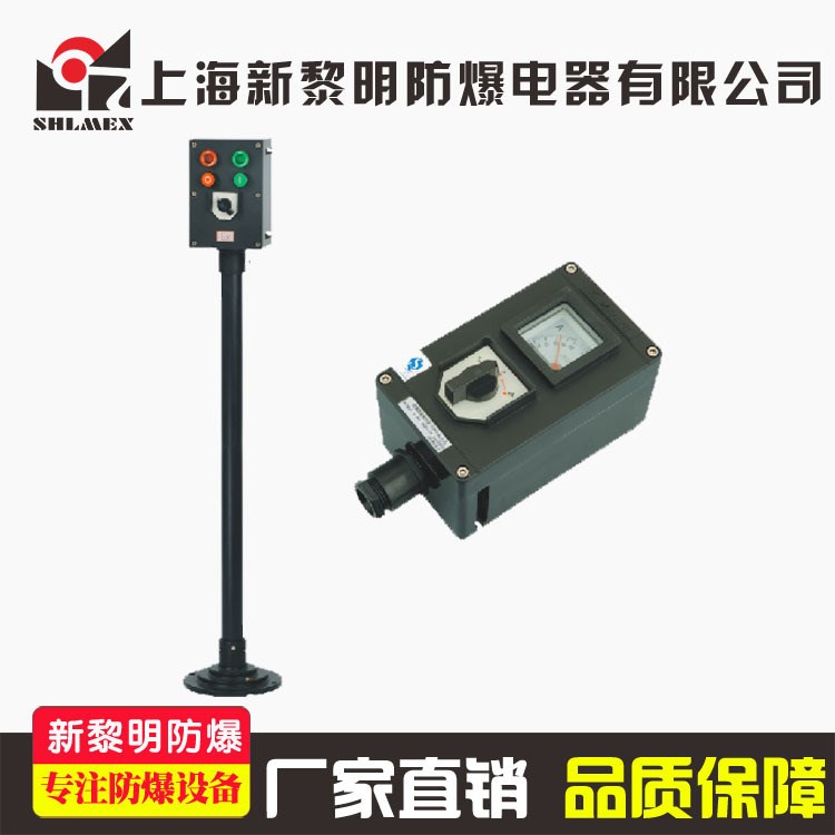 供應新黎明LCZ8030防爆防腐操作柱  壁掛式防爆操作柱B1A2D2