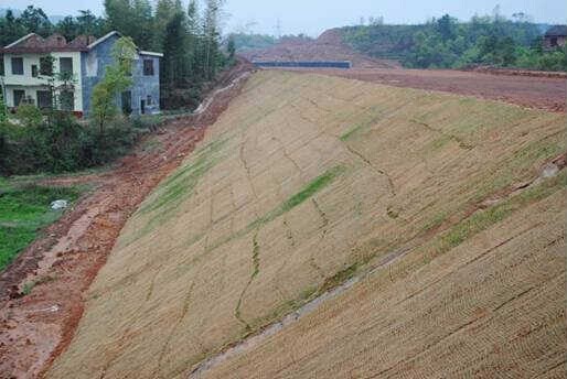 抗冲生物毯 生态修复毯 椰丝毯 新型生态护坡绿化毯  环保草毯