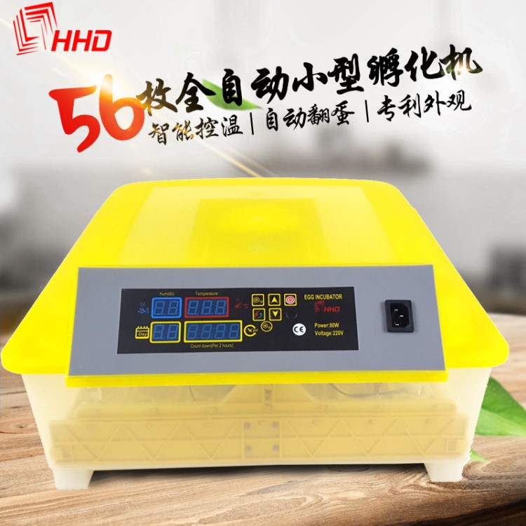 廠家直銷 HHD56枚全自動(dòng)家禽鳥類孵化器孵化機(jī)適用小型禽蛋孵化箱