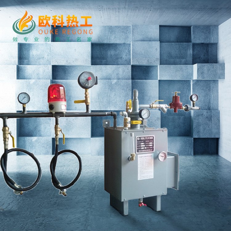 廠家大量供應燃氣氣化爐 節能環保液化氣蒸發器 氣化爐批發