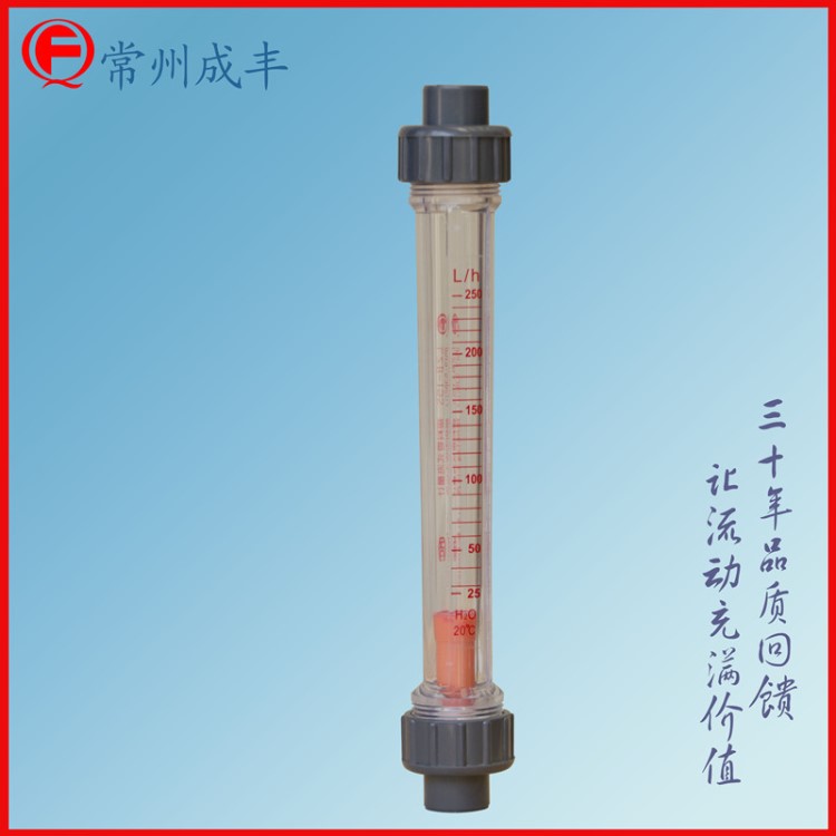 成豐儀表液體流量計(jì) 塑料管流量計(jì) ABS材質(zhì)螺紋連接流量計(jì)