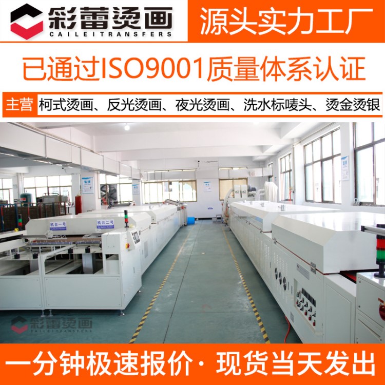 【彩蕾】柯式過(guò)粉燙畫洗水標(biāo)反光燙畫服裝環(huán)保印花熱轉(zhuǎn)印加工