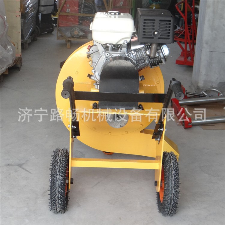 伊春路面吹風機 手推式道路吹風機 汽油馬路吹風機廠家LCF-90