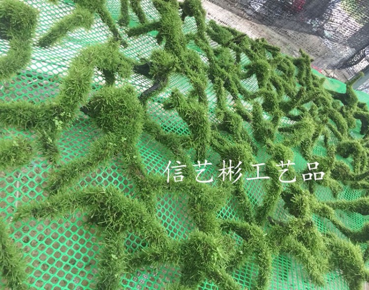 魚缸造景莫斯樹大三角莫斯沉木天然活體真水草造景套餐水族箱裝飾