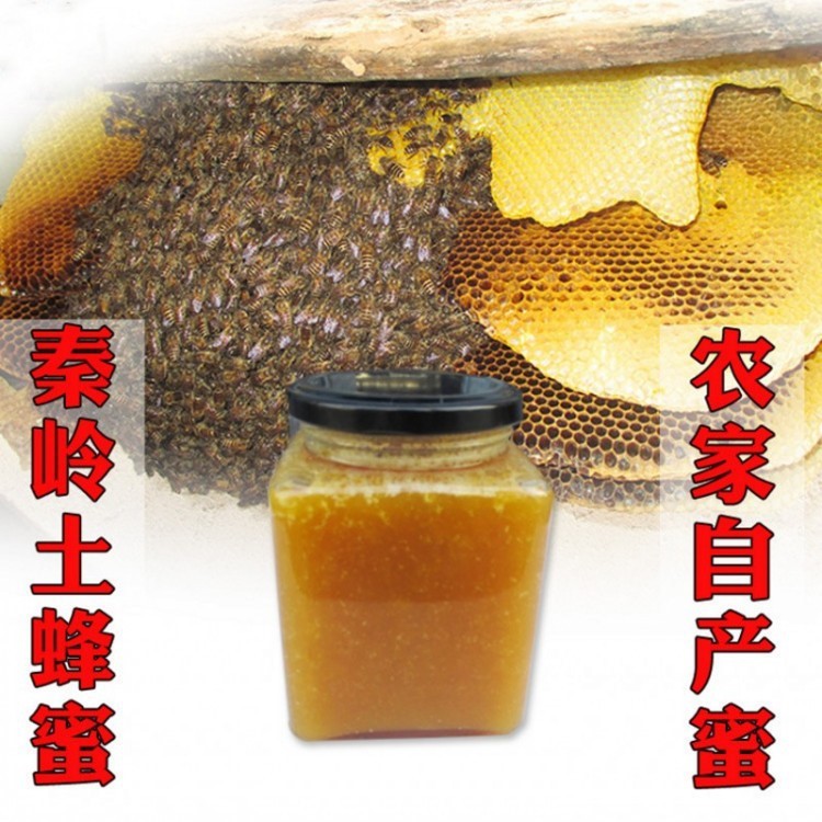 秦嶺木桶土蜂蜜蜂巢蜜農(nóng)家自產(chǎn)中華黑蜂650g原產(chǎn)地直供零售批發(fā)