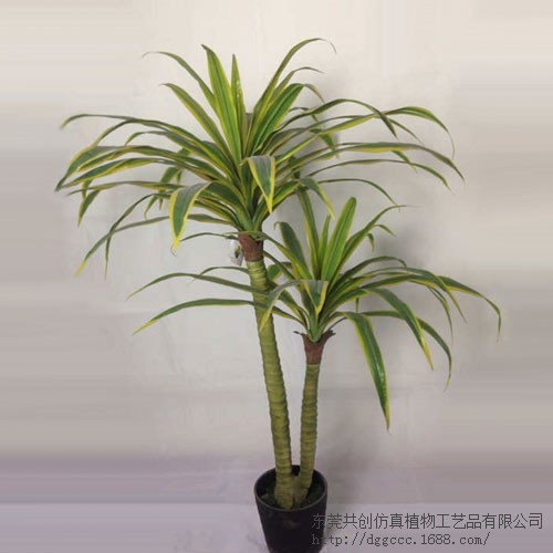 盆栽植物批發(fā) 仿真巴西鐵 銀杏樹 仙人掌室內(nèi)綠植軟裝盆景假樹
