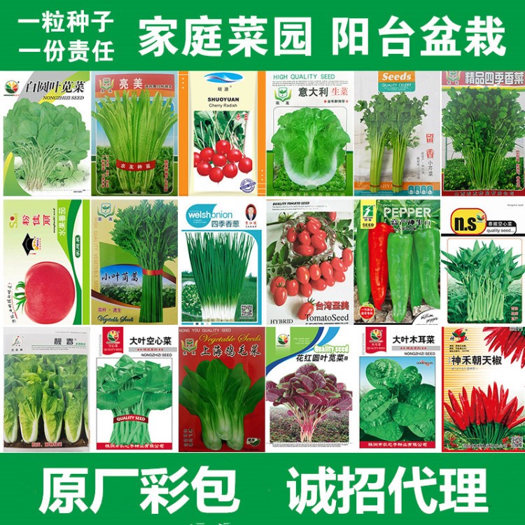 云梦县蔬菜种子