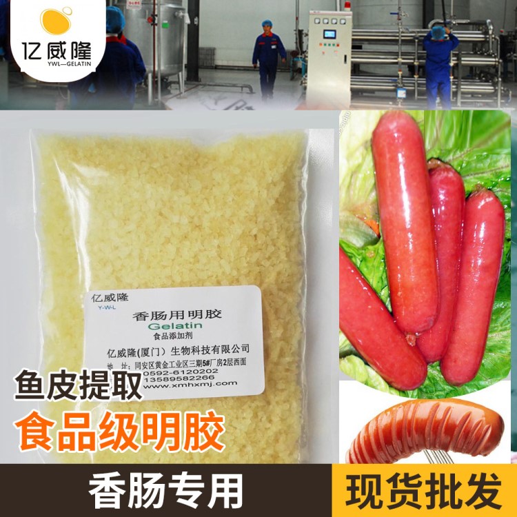 工廠增稠劑食品級明膠 魚皮明膠160凍力香腸用 食用明膠現(xiàn)貨批發(fā)