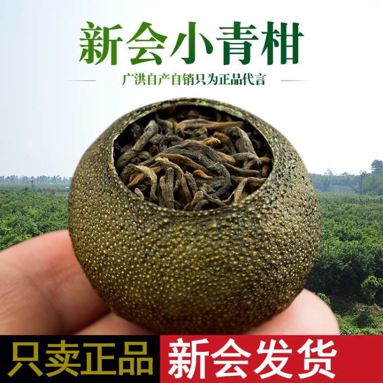 廠家加工批發(fā)小青柑普洱茶新會陳皮柑普茶散裝茶葉熟茶小青柑