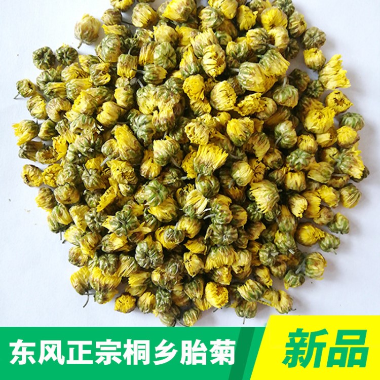 桐鄉(xiāng)胎菊源頭工廠杭白菊菊花茶花果茶茶葉批發(fā)胎菊批發(fā)