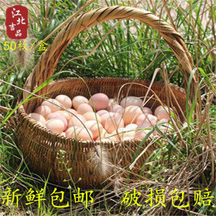 農(nóng)村散養(yǎng)土雞蛋50枚農(nóng)家新鮮自家養(yǎng)柴草雞蛋月子初產(chǎn)蛋一件代發(fā)